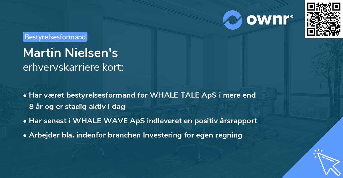 Martin Nielsen's erhvervskarriere kort