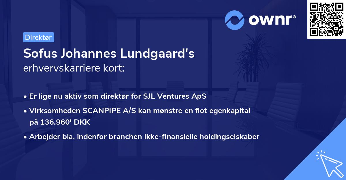 Sofus Johannes Lundgaard's erhvervskarriere kort