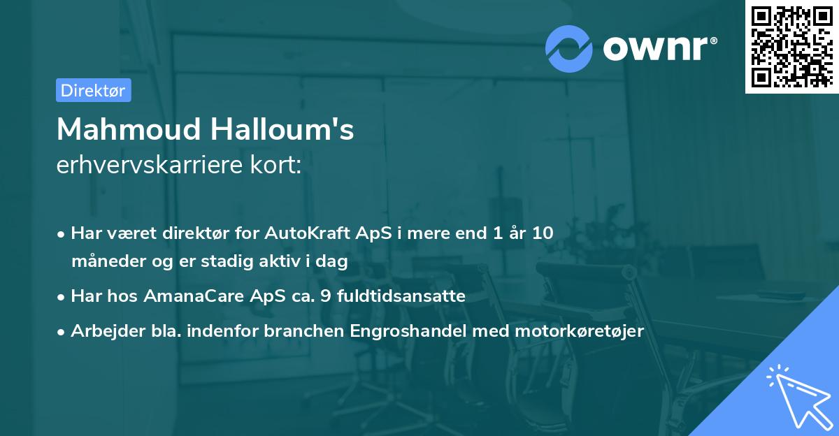 Mahmoud Halloum's erhvervskarriere kort
