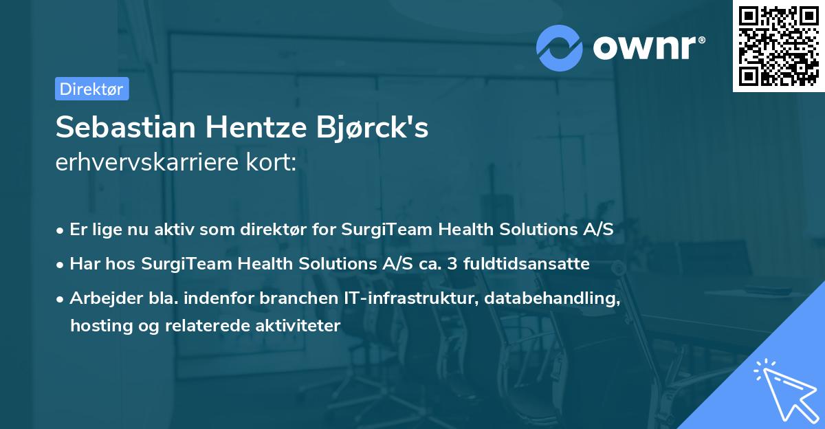 Sebastian Hentze Bjørck's erhvervskarriere kort