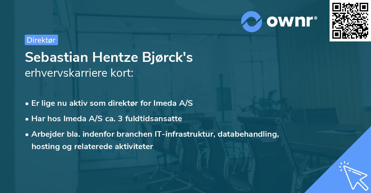 Sebastian Hentze Bjørck's erhvervskarriere kort