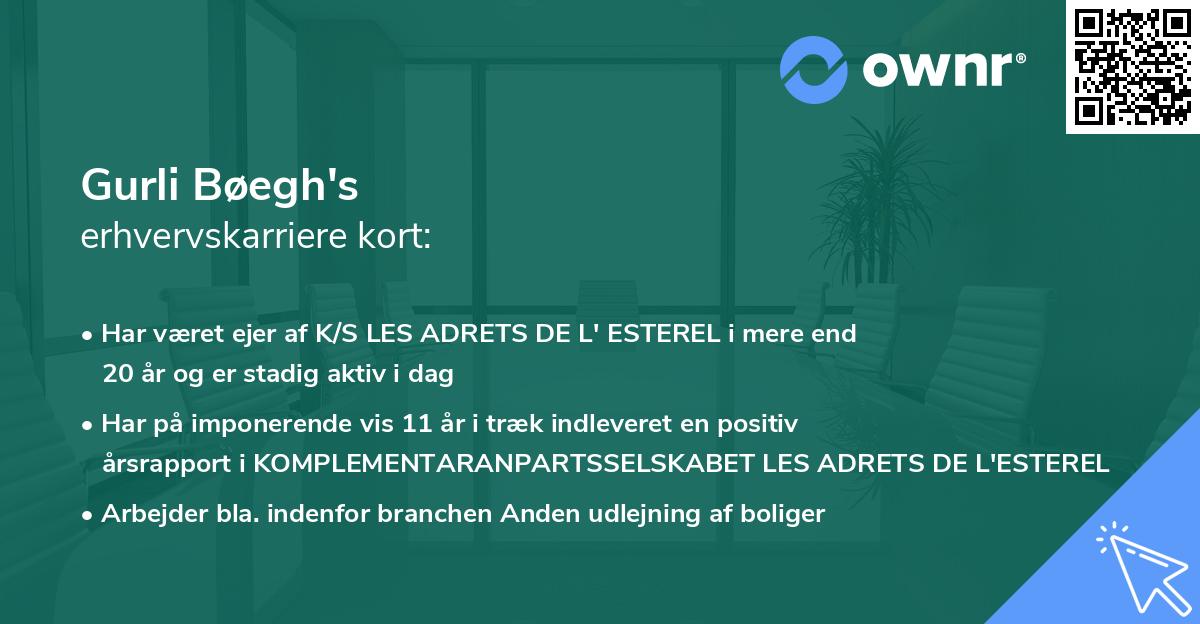 Gurli Bøegh's erhvervskarriere kort