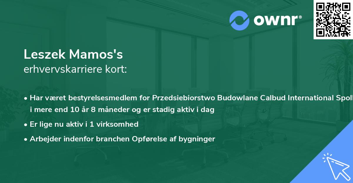 Leszek Mamos's erhvervskarriere kort