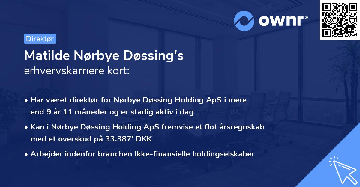 Matilde Nørbye Døssing's erhvervskarriere kort