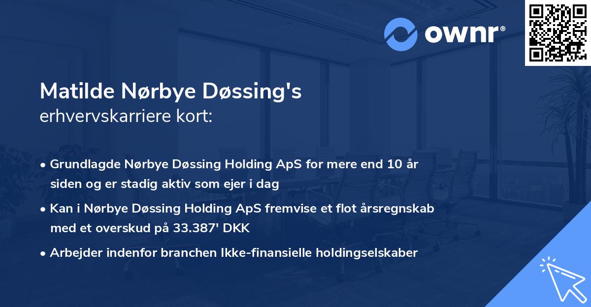 Matilde Nørbye Døssing's erhvervskarriere kort