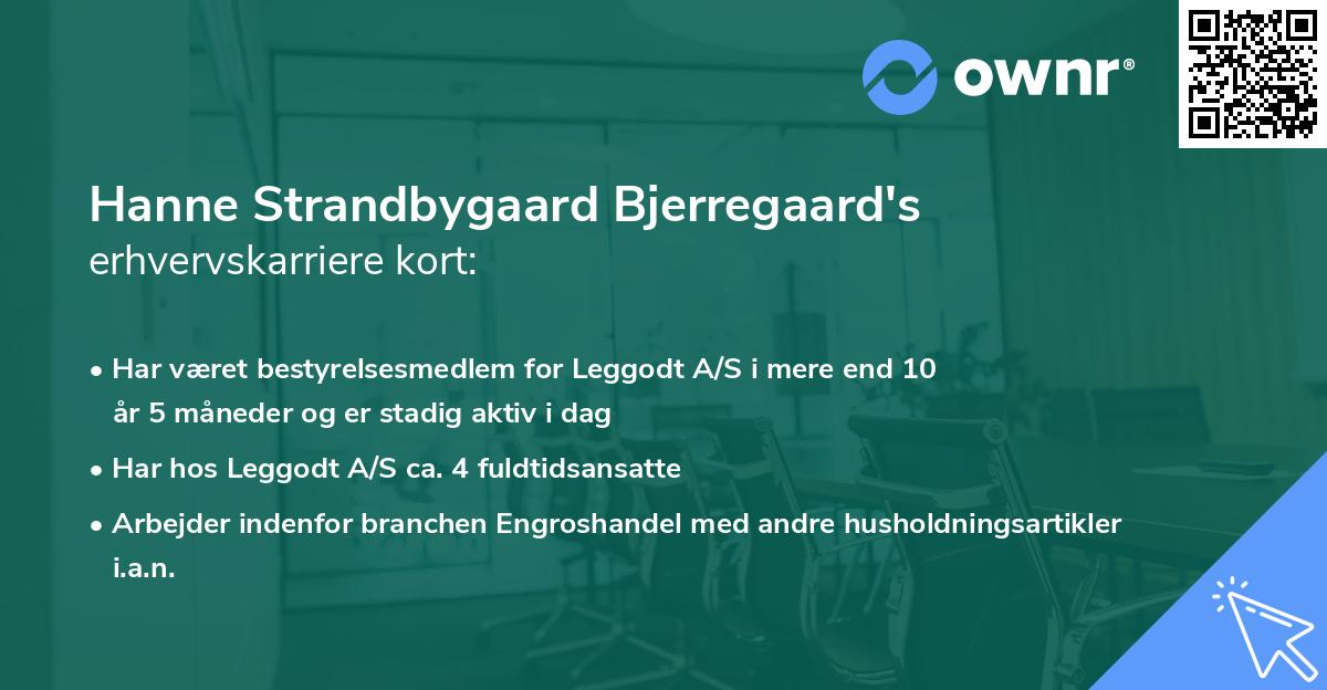 Hanne Strandbygaard Bjerregaard's erhvervskarriere kort