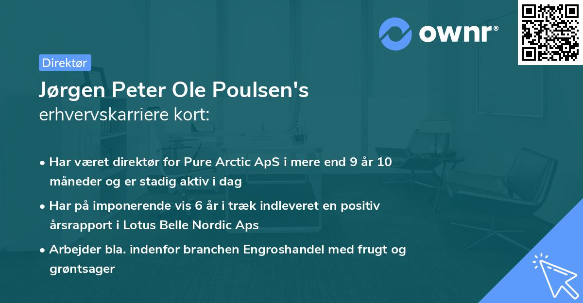 Jørgen Peter Ole Poulsen's erhvervskarriere kort