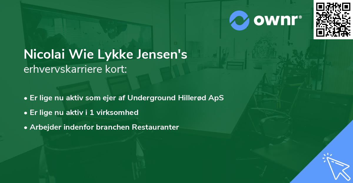 Nicolai Wie Lykke Jensen's erhvervskarriere kort