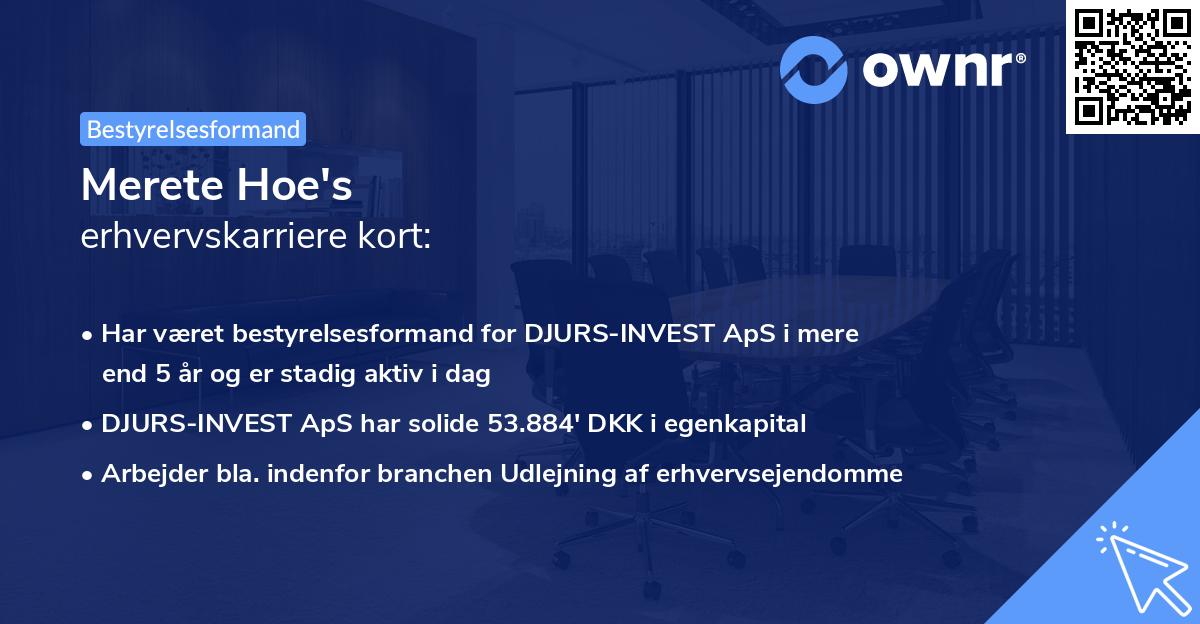 Merete Hoe's erhvervskarriere kort