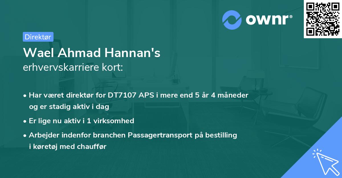 Wael Ahmad Hannan's erhvervskarriere kort