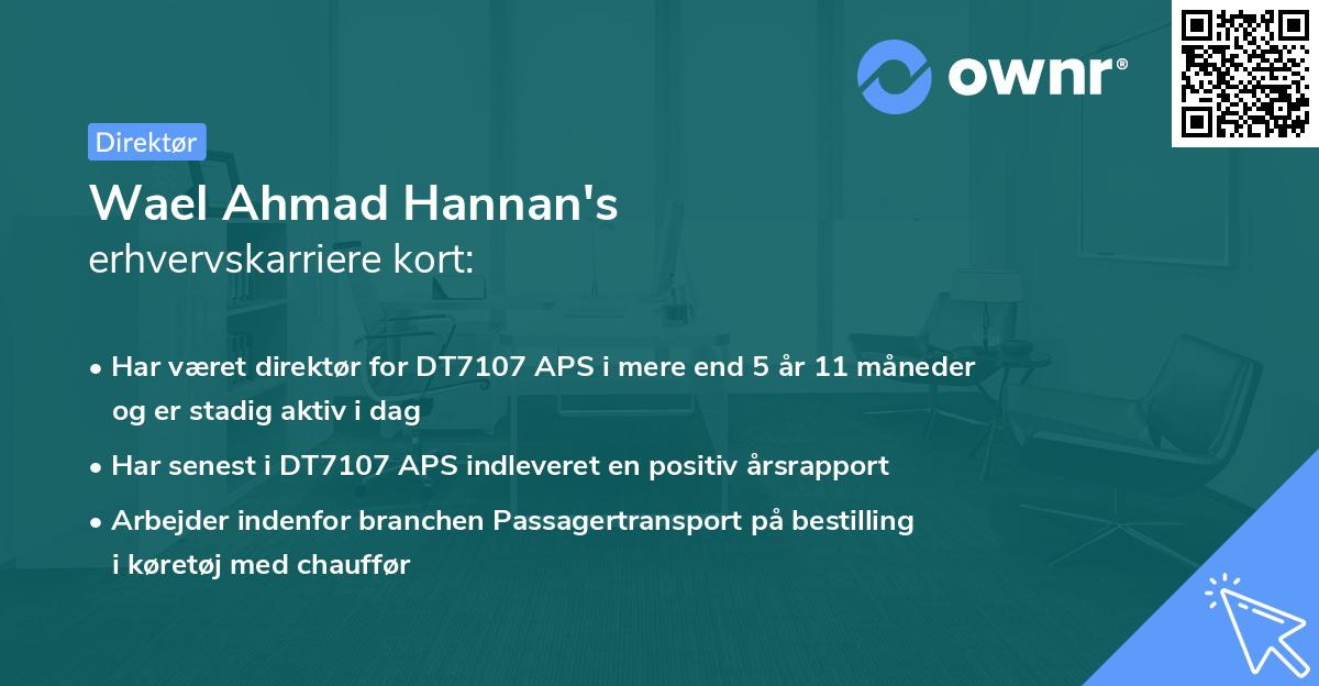 Wael Ahmad Hannan's erhvervskarriere kort