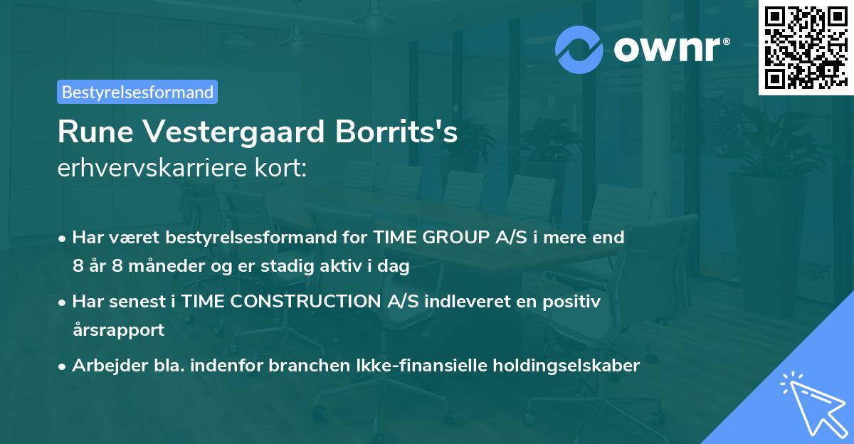Rune Vestergaard Borrits's erhvervskarriere kort