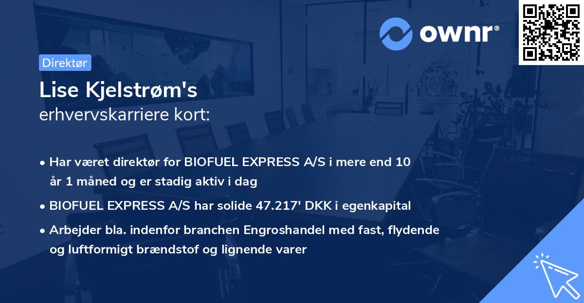 Lise Kjelstrøm's erhvervskarriere kort