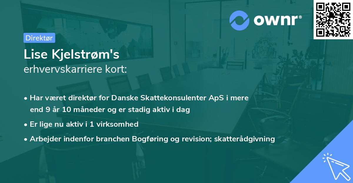 Lise Kjelstrøm's erhvervskarriere kort