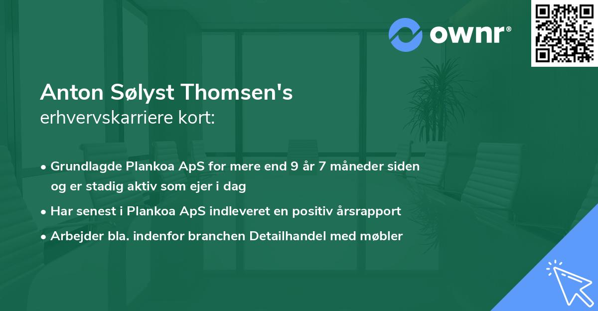 Anton Sølyst Thomsen's erhvervskarriere kort
