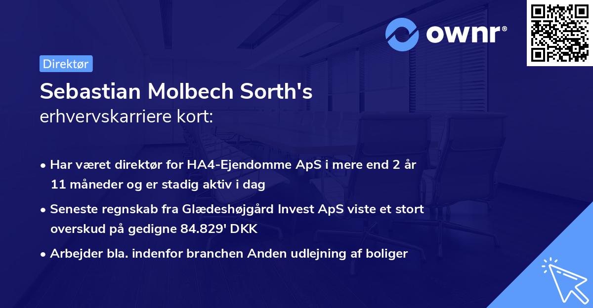 Sebastian Molbech Sorth's erhvervskarriere kort
