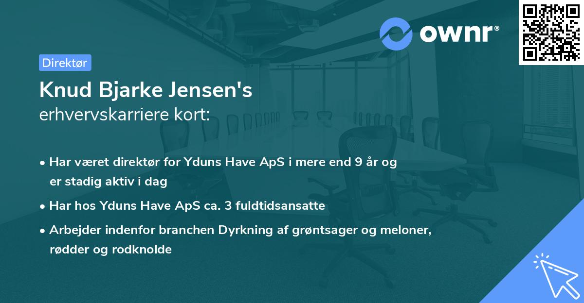 Knud Bjarke Jensen's erhvervskarriere kort