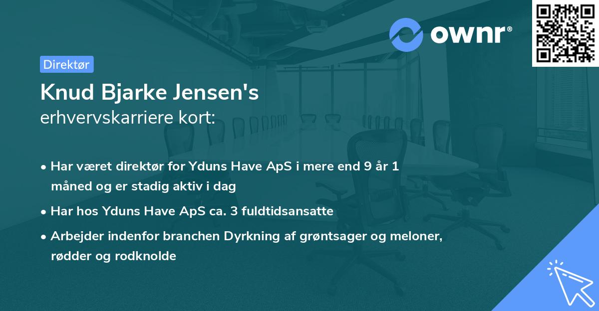 Knud Bjarke Jensen's erhvervskarriere kort