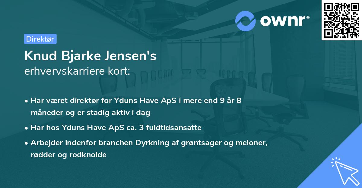Knud Bjarke Jensen's erhvervskarriere kort