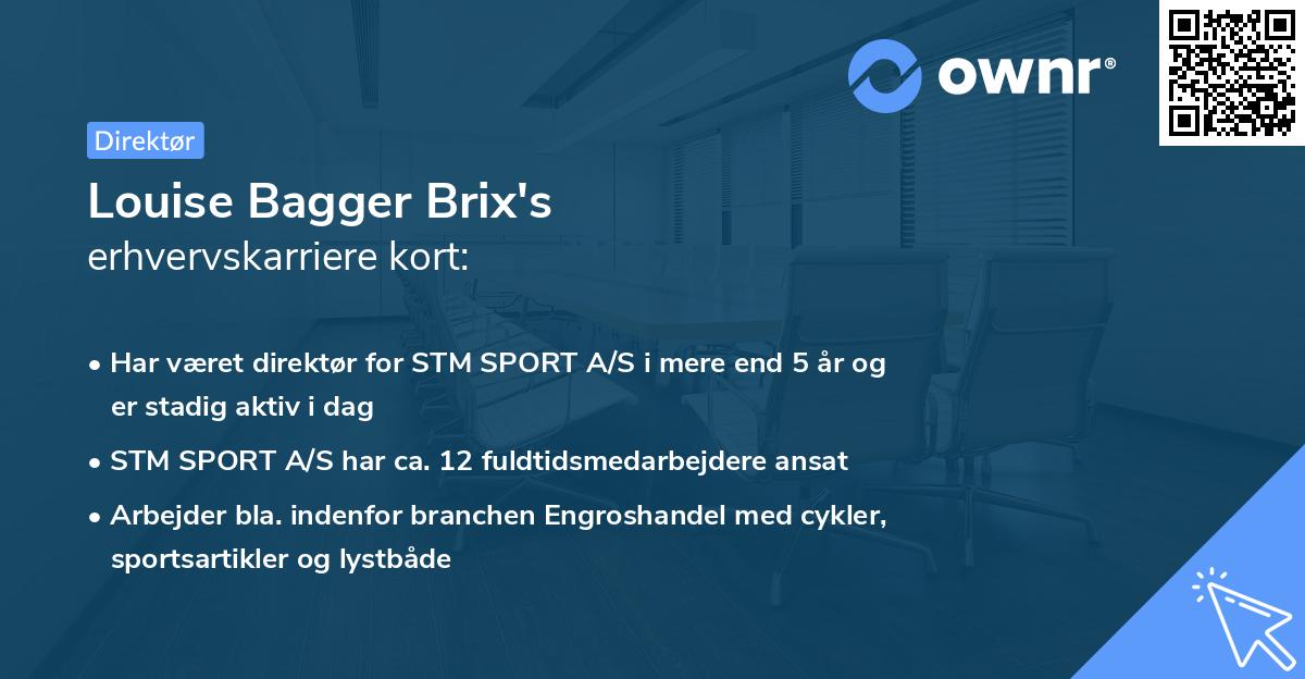 Louise Bagger Brix's erhvervskarriere kort