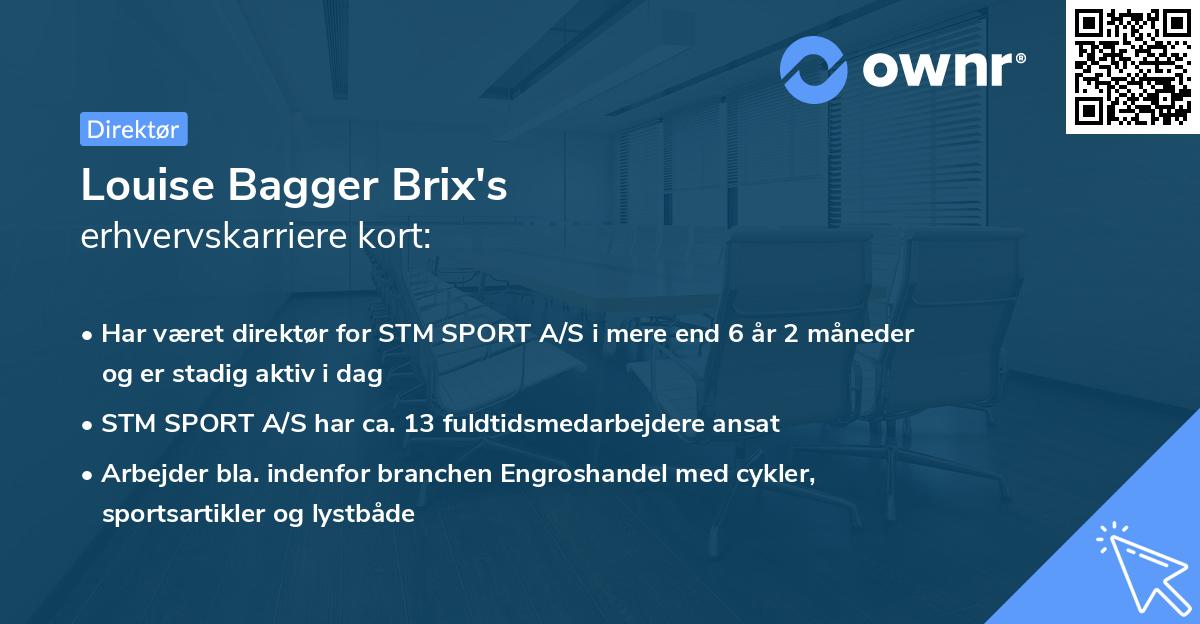 Louise Bagger Brix's erhvervskarriere kort