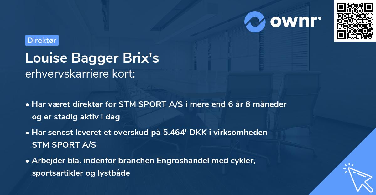 Louise Bagger Brix's erhvervskarriere kort