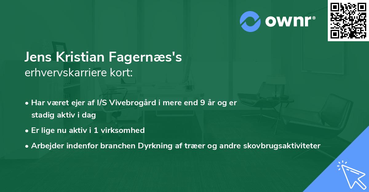 Jens Kristian Fagernæs's erhvervskarriere kort