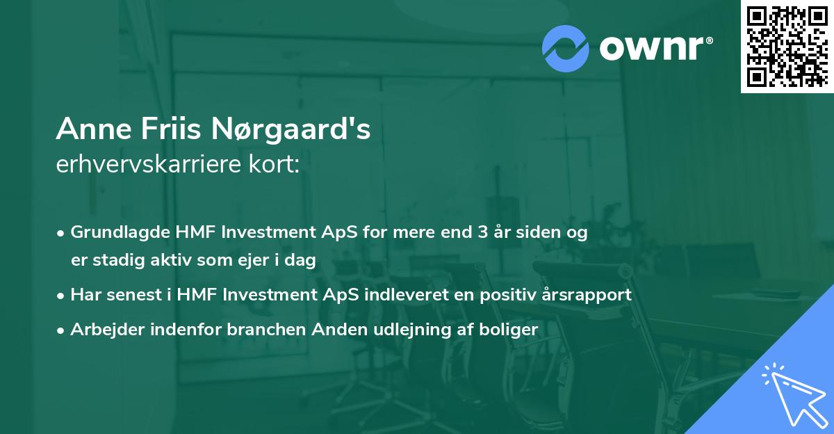 Anne Friis Nørgaard's erhvervskarriere kort