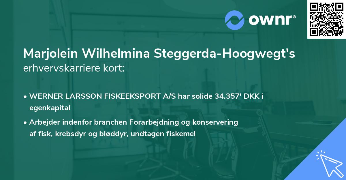 Marjolein Wilhelmina Steggerda-Hoogwegt's erhvervskarriere kort