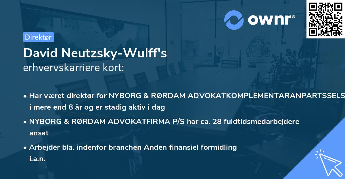 David Neutzsky-Wulff's erhvervskarriere kort