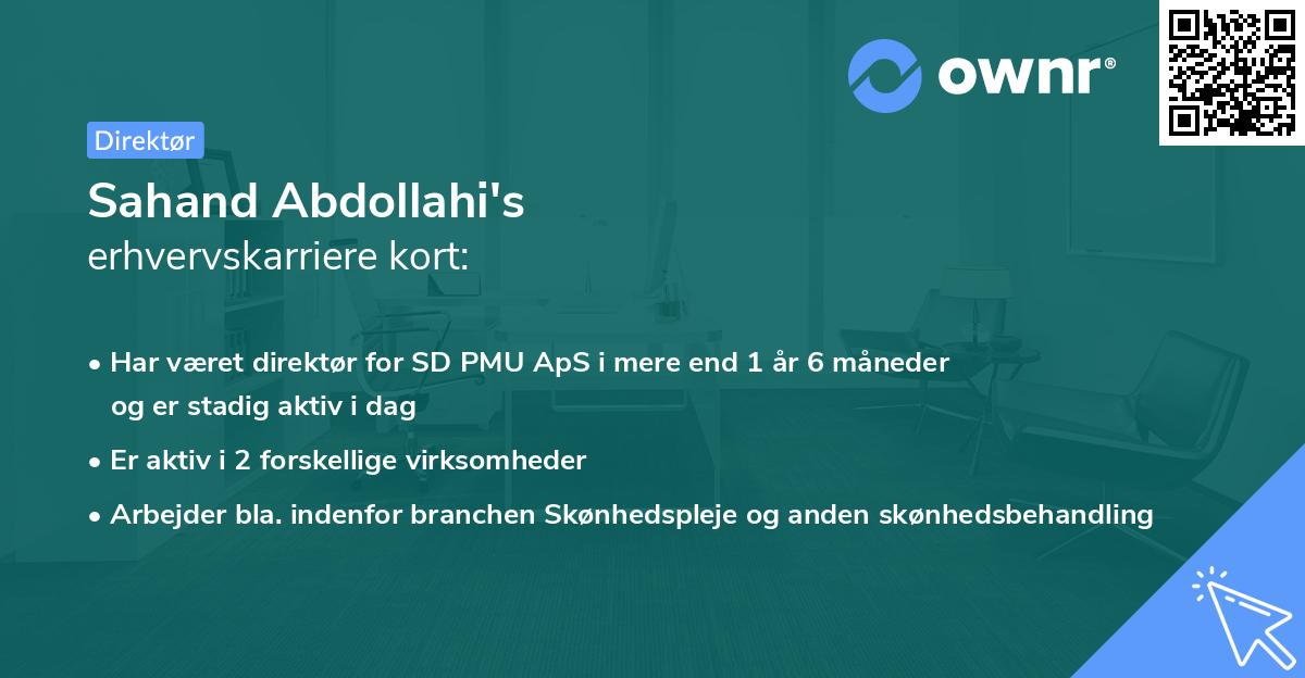 Sahand Abdollahi's erhvervskarriere kort