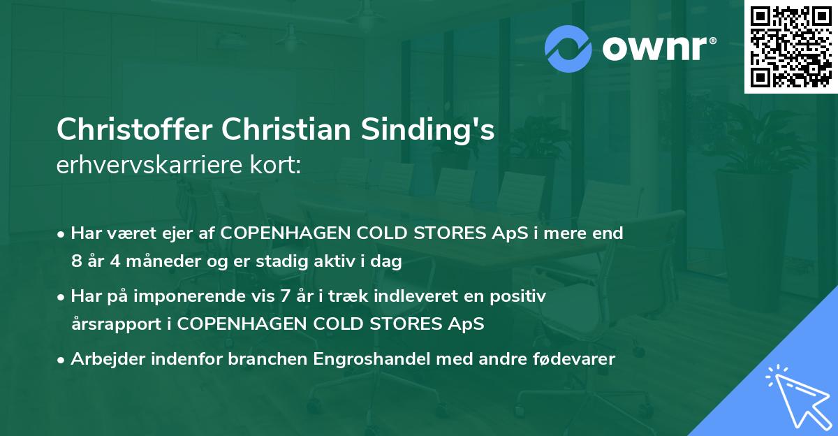 Christoffer Christian Sinding's erhvervskarriere kort