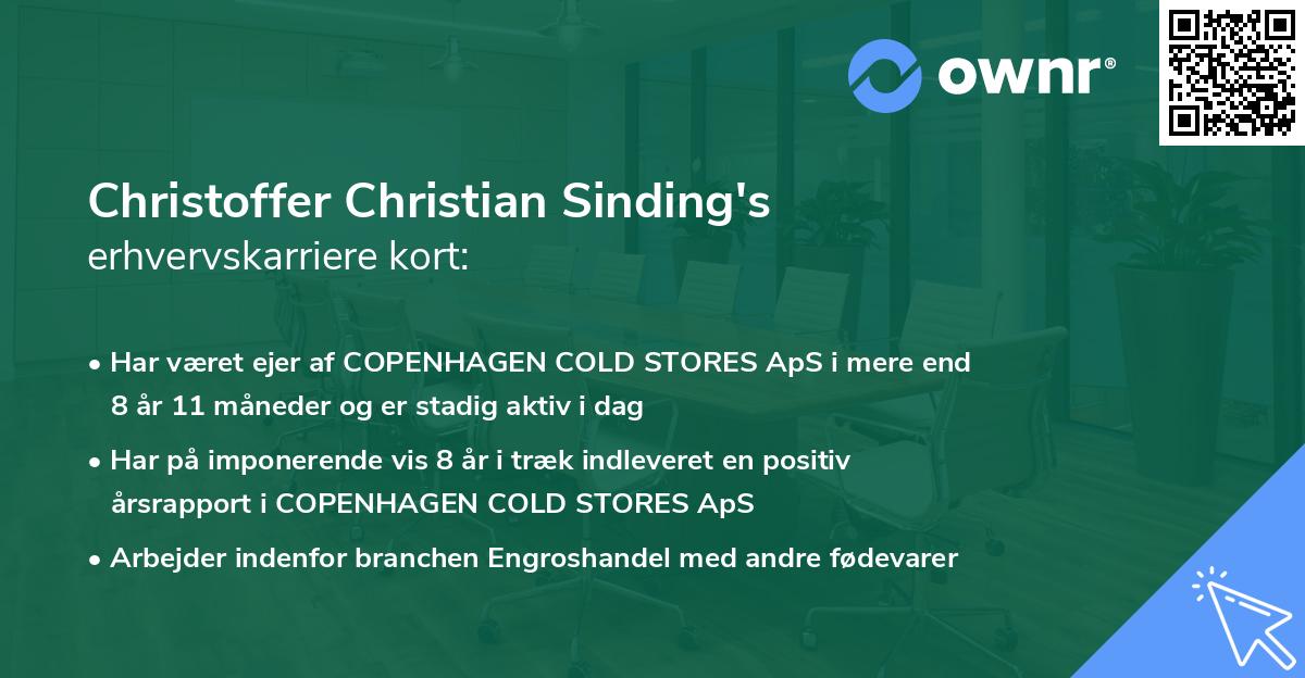 Christoffer Christian Sinding's erhvervskarriere kort