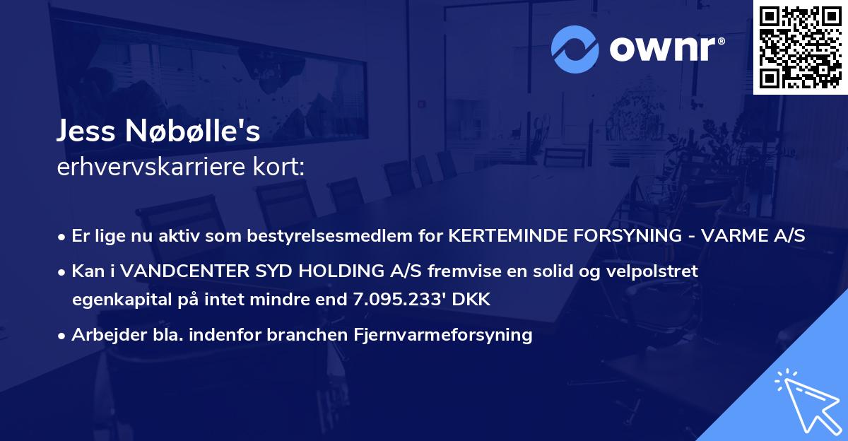 Jess Nøbølle's erhvervskarriere kort