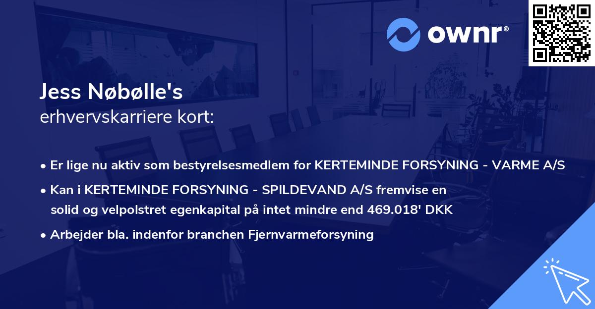 Jess Nøbølle's erhvervskarriere kort