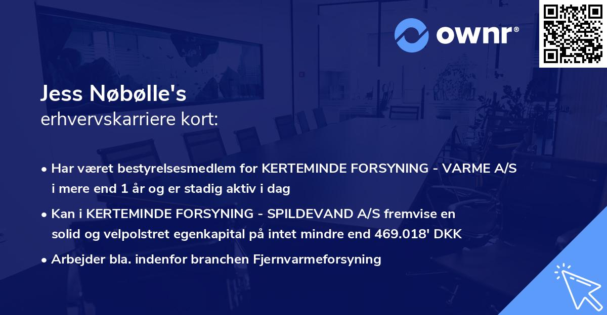 Jess Nøbølle's erhvervskarriere kort