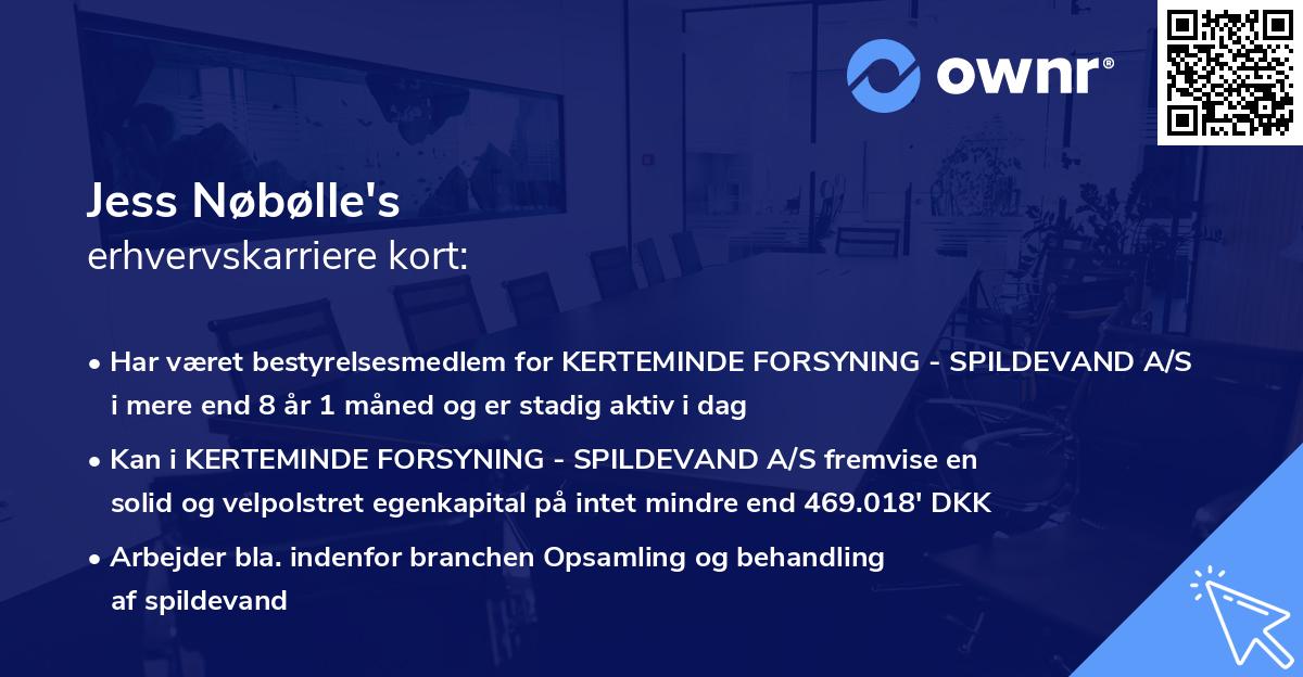 Jess Nøbølle's erhvervskarriere kort