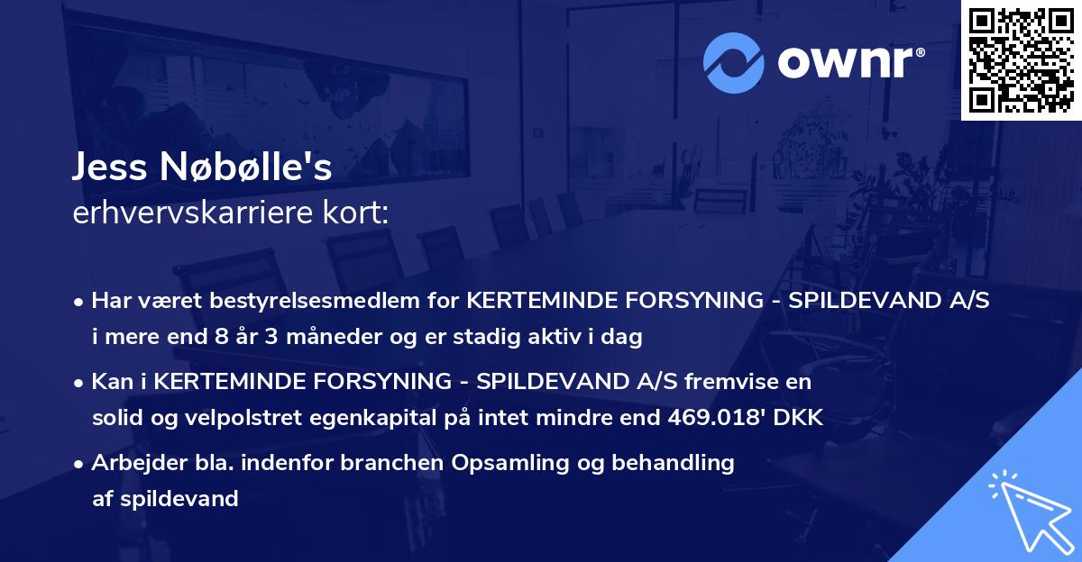 Jess Nøbølle's erhvervskarriere kort
