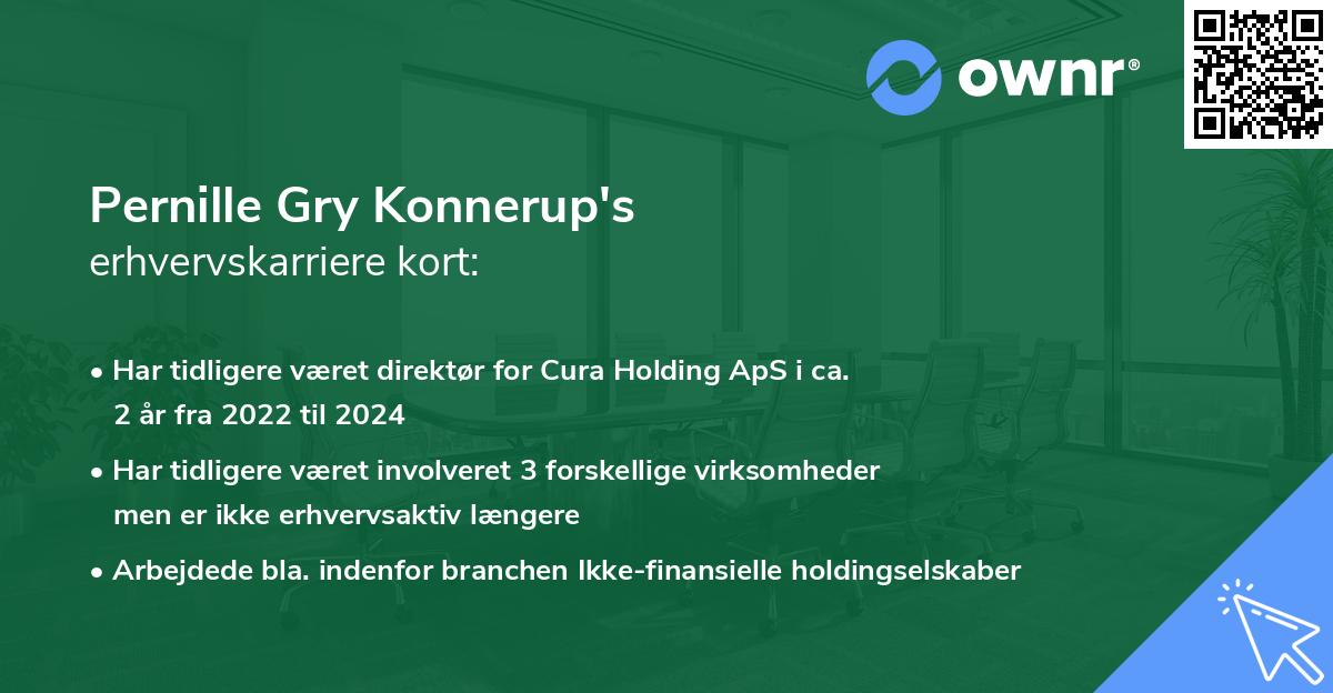 Pernille Gry Konnerup's erhvervskarriere kort