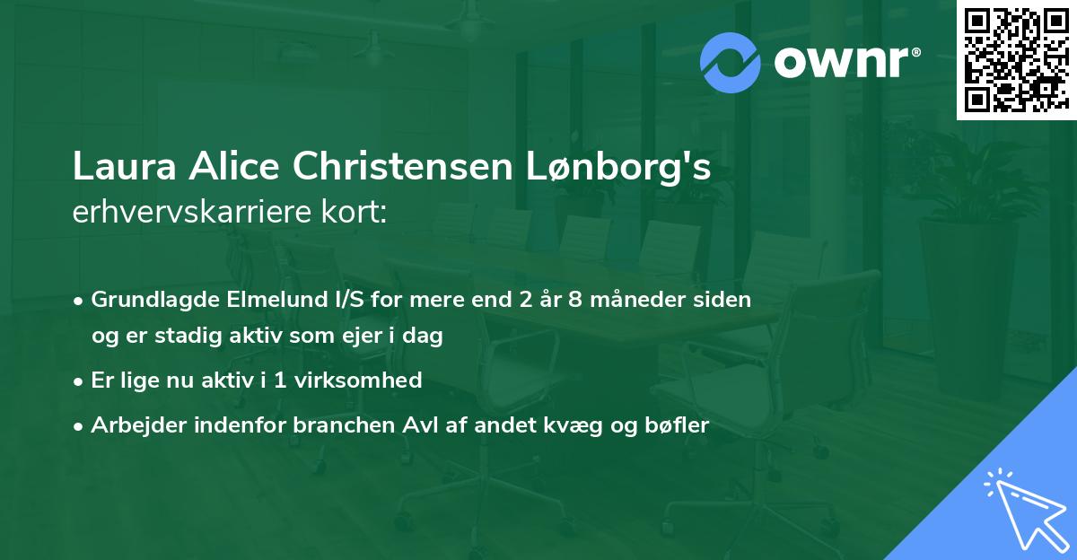 Laura Alice Christensen Lønborg's erhvervskarriere kort