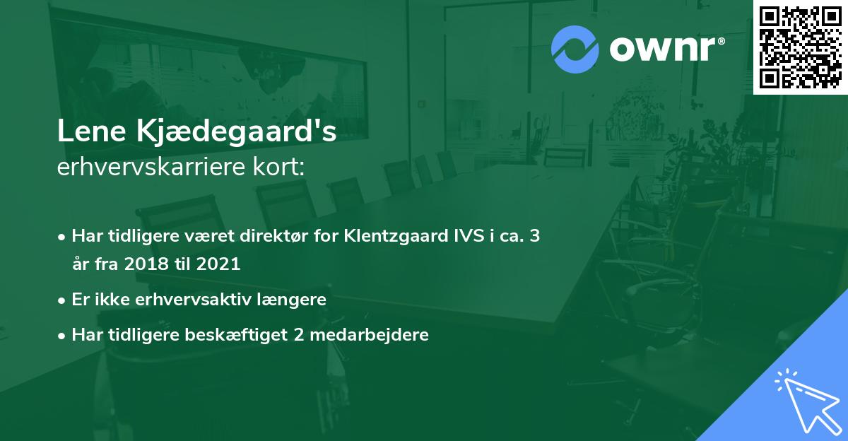 Lene Kjædegaard's erhvervskarriere kort