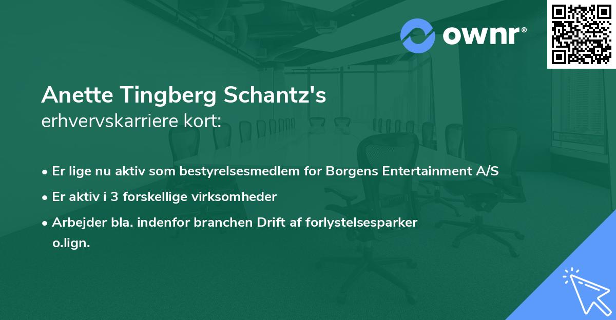 Anette Tingberg Schantz's erhvervskarriere kort