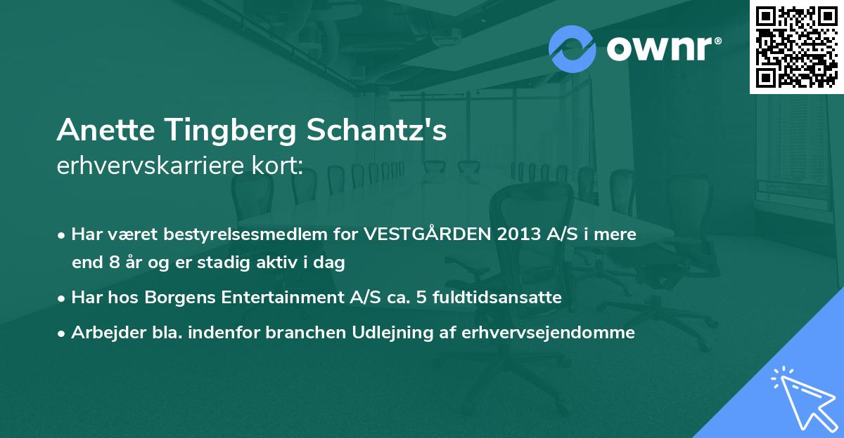 Anette Tingberg Schantz's erhvervskarriere kort