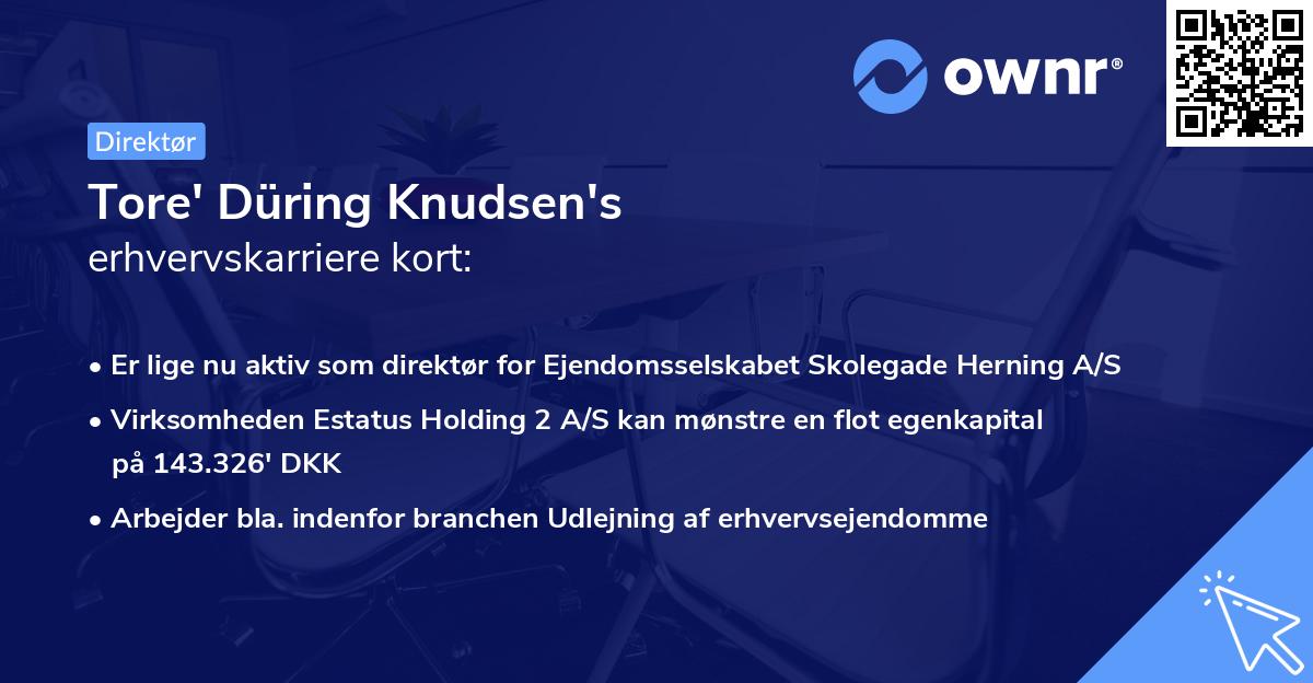 Tore' Düring Knudsen's erhvervskarriere kort