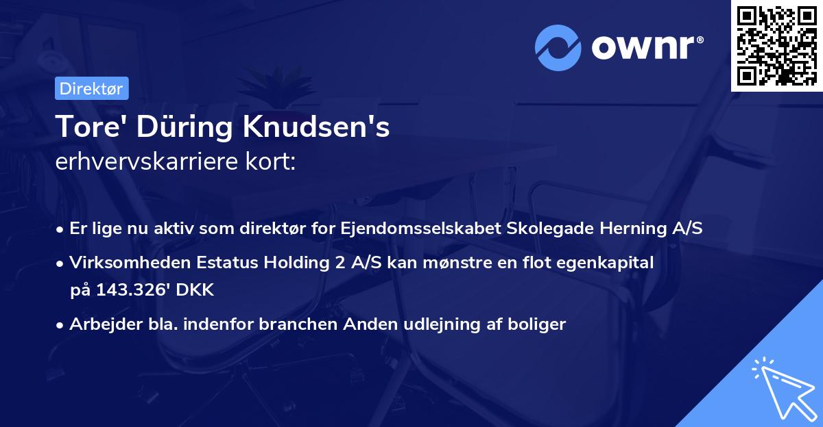 Tore' Düring Knudsen's erhvervskarriere kort