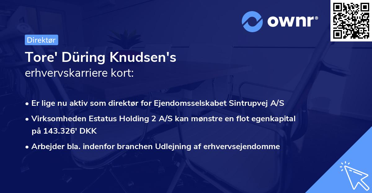 Tore' Düring Knudsen's erhvervskarriere kort