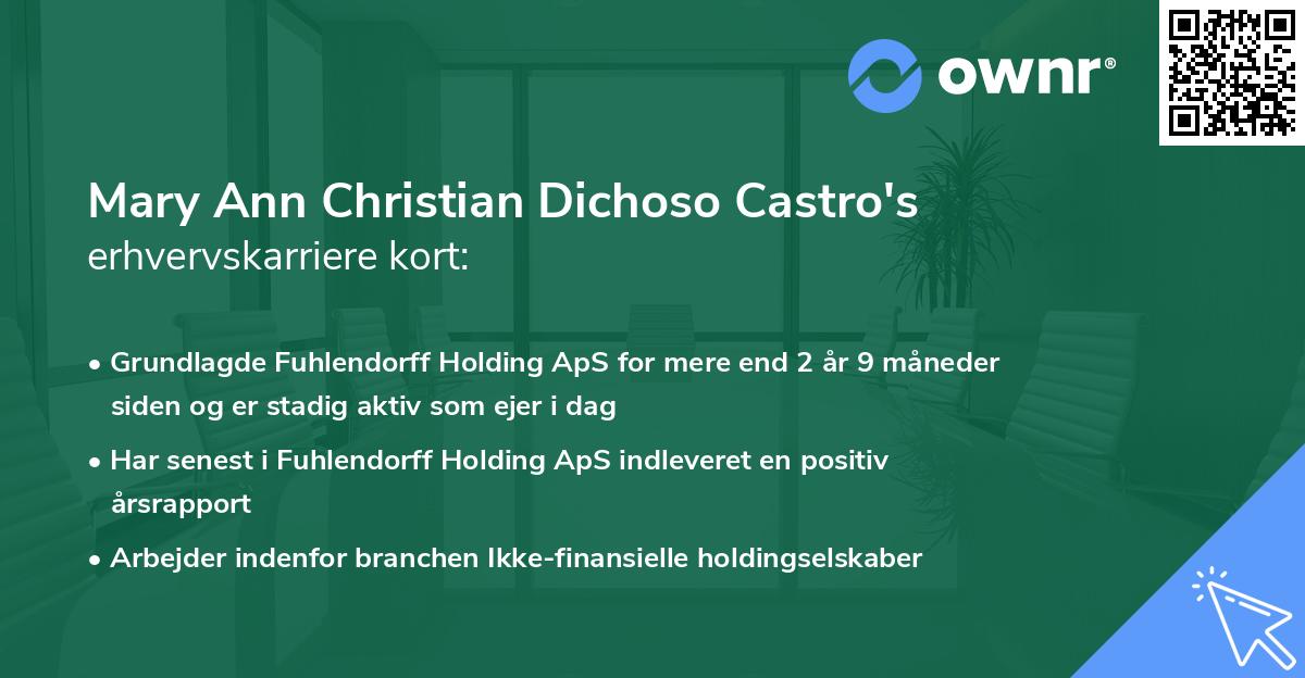 Mary Ann Christian Dichoso Castro's erhvervskarriere kort