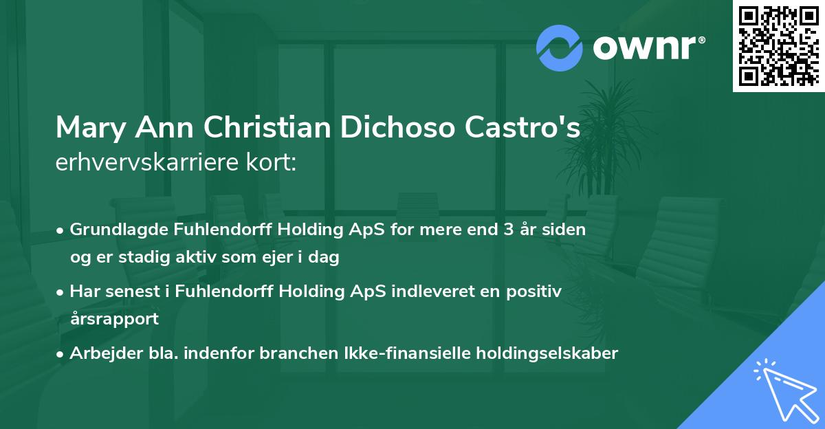 Mary Ann Christian Dichoso Castro's erhvervskarriere kort