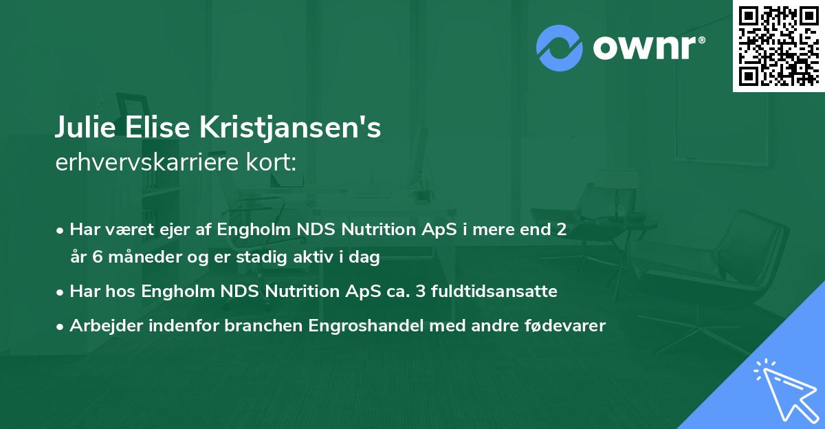 Julie Elise Kristjansen's erhvervskarriere kort