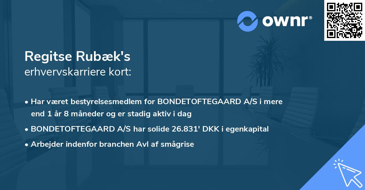 Regitse Rubæk's erhvervskarriere kort